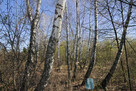Działka budowlana Wołomin, - 5