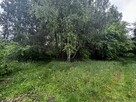 Działka rekreacyjna Dąbrowa gm. Przykona, - 8