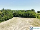 Działka inwestycyjna Tyczyn, - 3