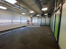 Wysoka Hala Magazyn + Biura Zabierzów 500 m2 - 5