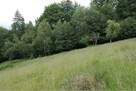 Wzgórze, las i przestrzeń – Twoje miejsce w górach - 4