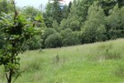 Wzgórze, las i przestrzeń – Twoje miejsce w górach - 6