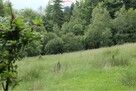 Wzgórze, las i przestrzeń – Twoje miejsce w górach - 9