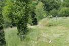 Wzgórze, las i przestrzeń – Twoje miejsce w górach - 11