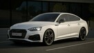 Audi S5 Laser/Matrix_HeadUp_Kamera360_Alcantara_Hak_Masaże_HomeLink_Competitio - 12