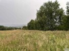 Syndyk sprzeda udział w działce rolnej – bez ceny minimalnej - 3