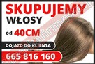 Skup włosów najwyższe ceny - 1