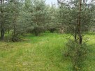 Syndyk sprzeda - nieruchomości gruntowe w Długosiodle - 6