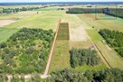 Działki budowlane 15 km od Szczytna - 4