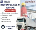 Kierowca z kat. C - Port Kontenerowy w Gdańsku