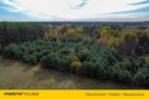 Przepiękna działka budowlana las Bory Tucholskie - 2