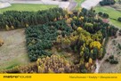Przepiękna działka budowlana las Bory Tucholskie - 14