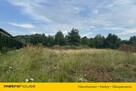 Działka Chynów Edwardów 2500m - 4