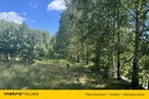 Urokliwa działka I Rapaty I Gietrzwałd - 6