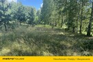 Urokliwa działka I Rapaty I Gietrzwałd - 8