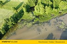 ARCIECHÓW UROKLIWA DZIAŁKA Z WŁASNĄ LINIĄ BRZEGOWĄ - 8