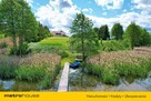 * Luksusowy dom z basenem nad jeziorem  1,11 ha * - 5