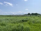Działka budowlana Wodzisław Śląski - 4