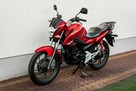 Honda CB 125 F 2015 POLIFT Raty Wysyłka TRANSPORT Największy Wybór Moto 125w PL - 6
