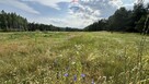 Atrakcyjna działka budowlana w otoczeniu lasu. - 4
