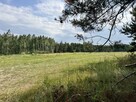 Atrakcyjna działka budowlana w otoczeniu lasu. - 7
