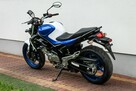 Suzuki Gladius 650 R 2014 ABS  MAŁY PRZEBIEG Raty Transport Największy Wybór KAT A2 - 4