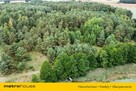 Sprzedaż działek z linią brzegową -Rybno - 6