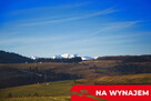 Działka w Grywałdzie; 1,1003 ha; warunki zabudowy - 5