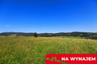 Działka w Grywałdzie; 1,1003 ha; warunki zabudowy - 7