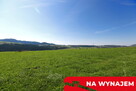 Działka w Grywałdzie; 1,1003 ha; warunki zabudowy - 8