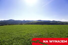 Działka w Grywałdzie; 1,1003 ha; warunki zabudowy - 9