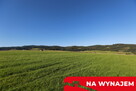 Działka w Grywałdzie; 1,1003 ha; warunki zabudowy - 12