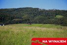 Działka w Grywałdzie; 1,1003 ha; warunki zabudowy - 14