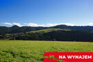 Działka w Grywałdzie; 1,1003 ha; warunki zabudowy - 15