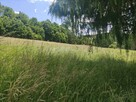 Działka blisko Jeziora Solińskiego - 4