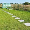 Stopień wapienny L828 Blue Limestone płomieniowany 150x33x2 - 3