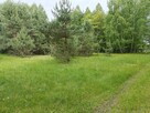 Syndyk sprzeda - nieruchomości gruntowe w Długosiodle - 1