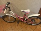 Rower 20 dziewczynka - 3