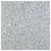 Pasy granit G603 New Bianco Cristal polerowany 240-320x65-73 - 3