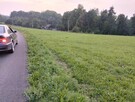 Działka zadbana 41 ar - Bączal Dolny przy drodze asfaltowej - 4
