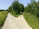 Syndyk sprzeda - nieruchomości gruntowe w Śmiechowicach - 5