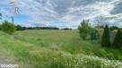 Działka 4300m2 Pacierzów/ Kłomnice - 3