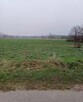 Sprzedam działkę 6800M2 Zygry gmina Zadzim - 2