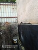 usługi koparko-ładowarką cat. - 4