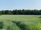 Działka budowlana w pięknej okolicy - 2