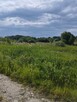 Działka budowlana Woj-Pomorskie Mierzyno - 2