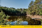 Małe Mazury pod Warszawą, urocze siedlisko - 8