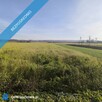 Syndyk sprzeda udziały wysokości 2/7 nieruchomości gruntowej niezabudowanej - 2