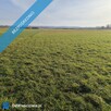 Syndyk sprzeda udziały wysokości 2/7 nieruchomości gruntowej niezabudowanej - 3