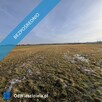 Syndyk sprzeda udziały wysokości 2/7 nieruchomości gruntowej niezabudowanej - 5